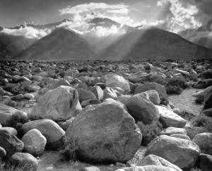 Ansel Adams for WILL
